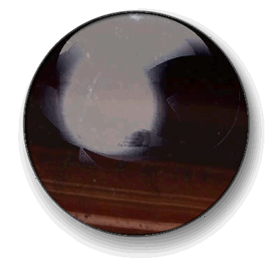 Oeil de Taureau