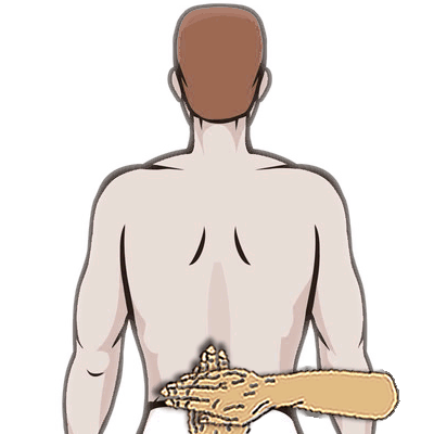 le coccyx