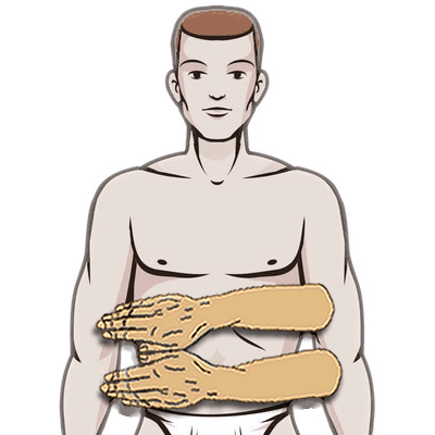 le foie
