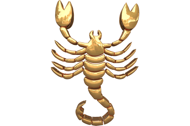 scorpion